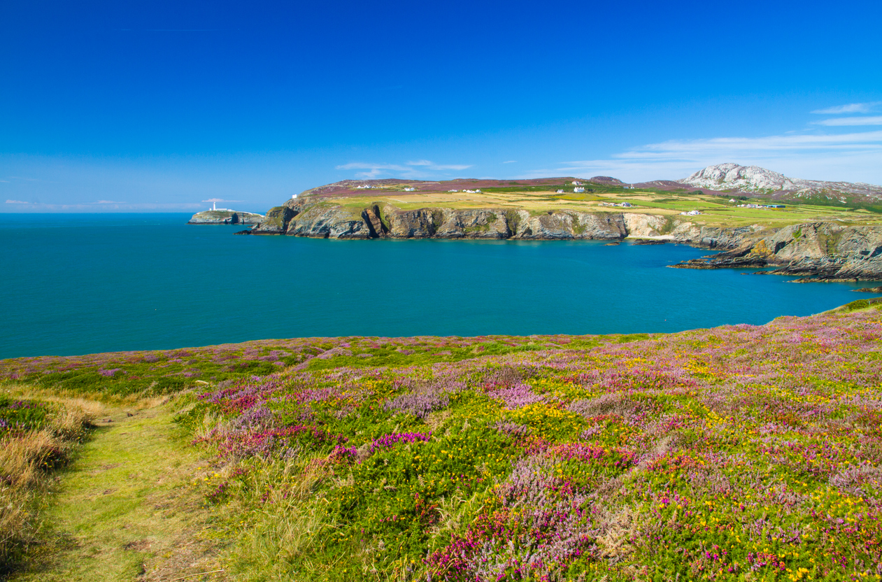 View of South Stack, Anglesey, Wales, including lighthouse.View of South Stack, Anglesey, Wales, including lighthouse