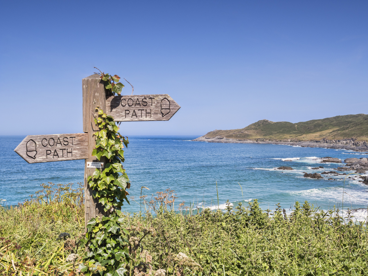 Ivy covered sign on the South West Coast Path above Barrican Beach, North Devon.