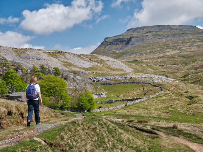 A single walker on the path by Crina Bottom, heading for Ingleborough, in the background, in the Yorkshire Dales, UK