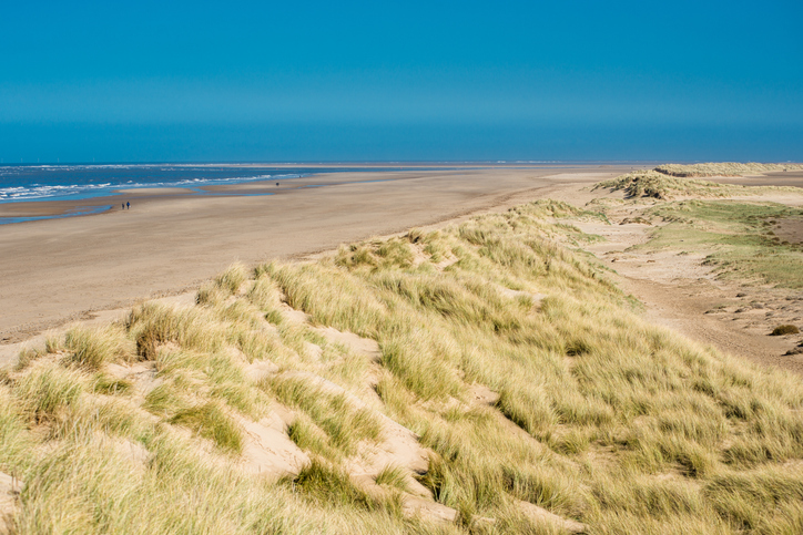 Sand dunes running along Holkham bay beach & Nature reserve on North Norfolk coast, East Anglia, England, UK.