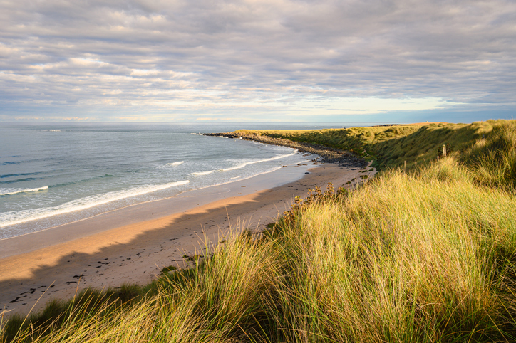 The Northumberland coast is a designated Area of Outstanding Natural Beauty AONB, known for its wide sweeping beaches high sand dunes punctuated by dark whinstone outcrops