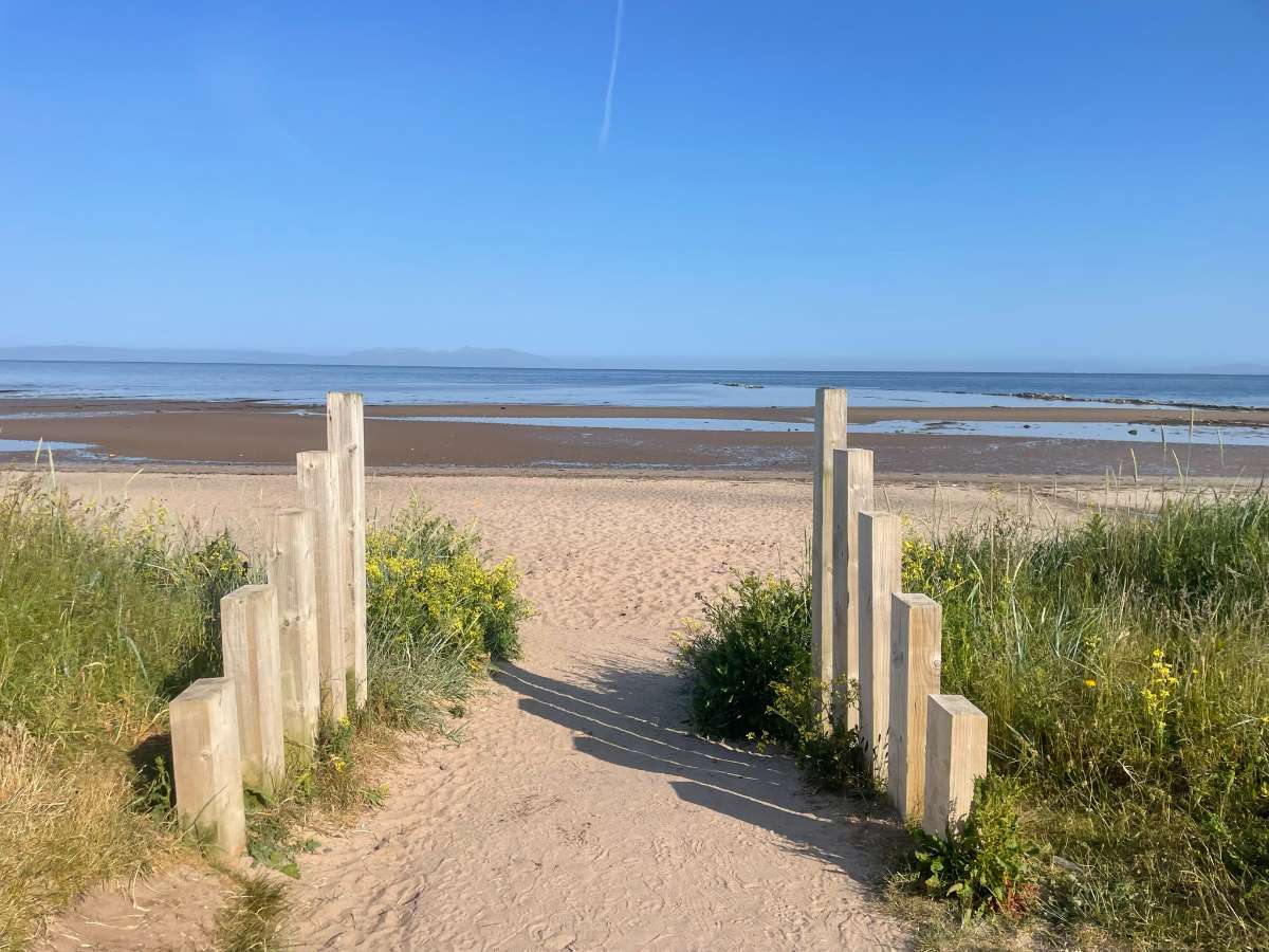 A serene beach scene with a sandy path leading to the shore, framed by wooden posts and surrounded by tall grasses and wildflowers. The beach stretches out to a calm, blue ocean under a clear sky. The distant horizon features faint outlines of land or mountains. This inviting coastal landscape captures the tranquil and natural beauty of the beach, perfect for a peaceful seaside escape.