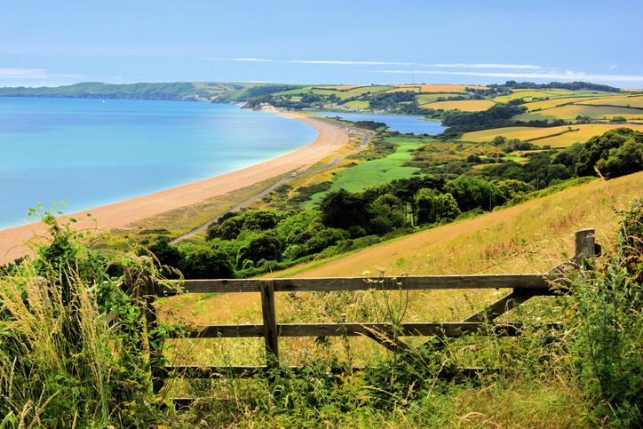 Image is a view along the Devon coast at Slapton Sands, with The Ley at Torcross