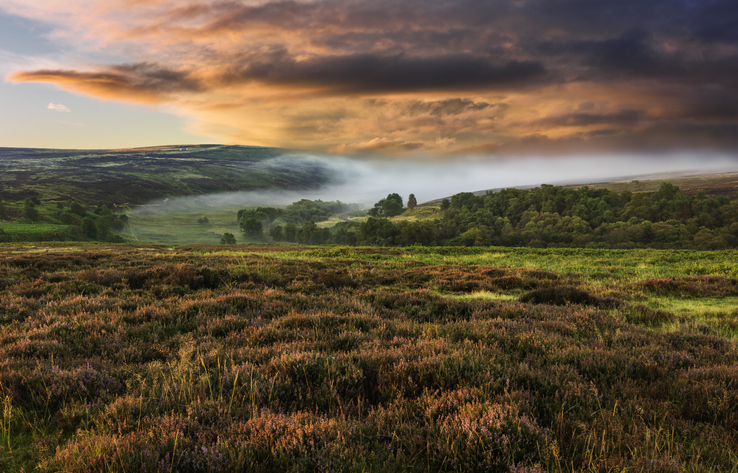 Dawn mist over the North Yorkshire Moors national park shot in autumn (fall) when the heather is in full bloom near the village of Goathland, north Yorkshire, UK.