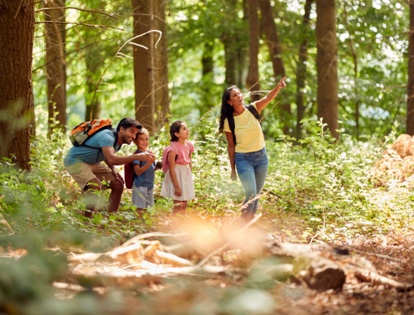 spring bank holiday fun a mum, dad, son and daughter walking in the woods