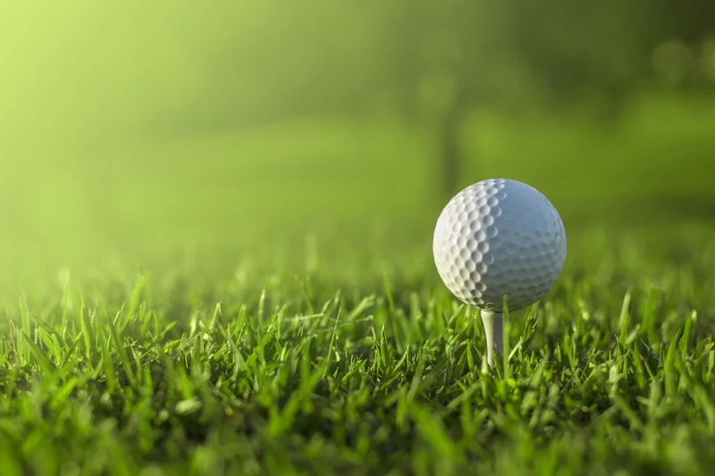 gold ball on a tee in the grass at a Parkdean Resorts Scotland park