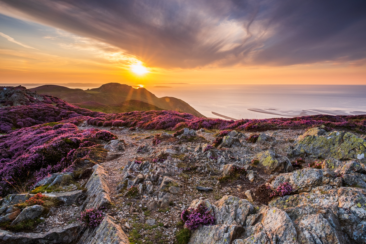 August sunset from Conwy Mountain