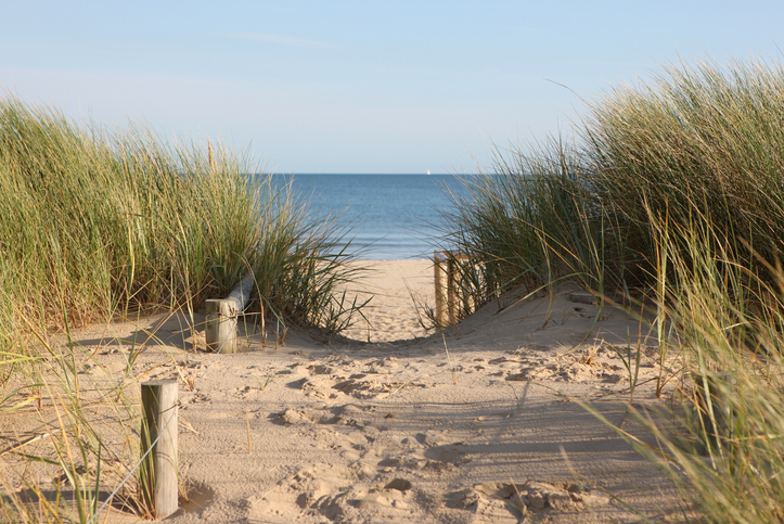 Footpath through sand dunes leading to the Sandbanks beach. Poole, Dorset, UK.