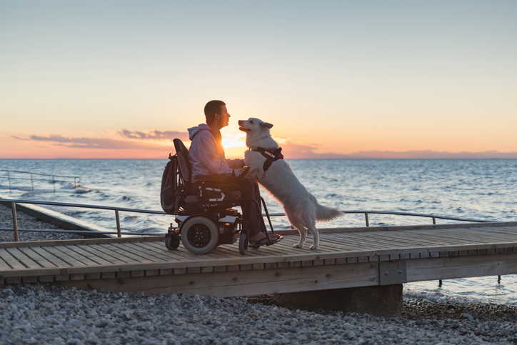 Man with disability with his service dog at sunset using electric wheelchair.