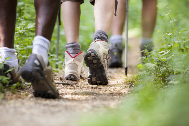 group of man and women during hiking excursion in woods, walking in a queue along a path. Low section view