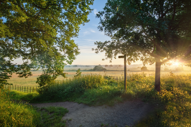 Footpath trail at sunrise over rural walking trail in Norfolk in English fields and meadows with trees and dawn sunlight