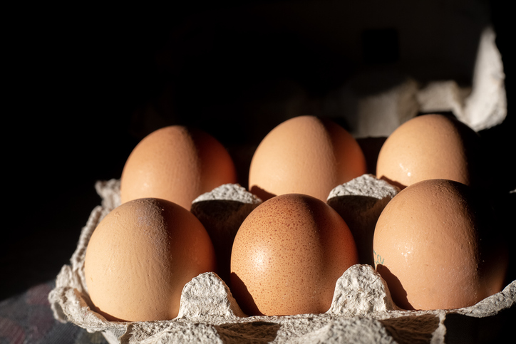 Six fresh eggs in grey paper container. High contrast picture. 