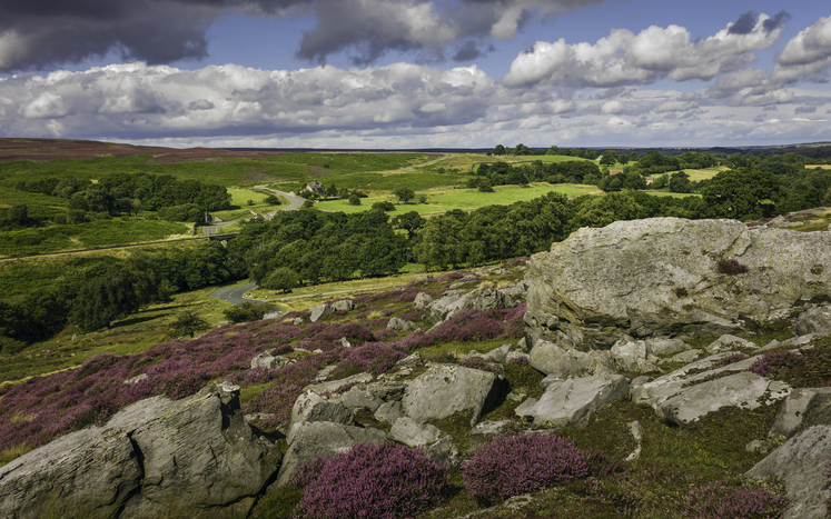 Goathland, Yorkshire, UK. Heather in bloom over the North York Moors national park showing the undulating landscape with rocks, trees, and isolated farmhouse in autumn near Goathland, Yorkshire, UK.