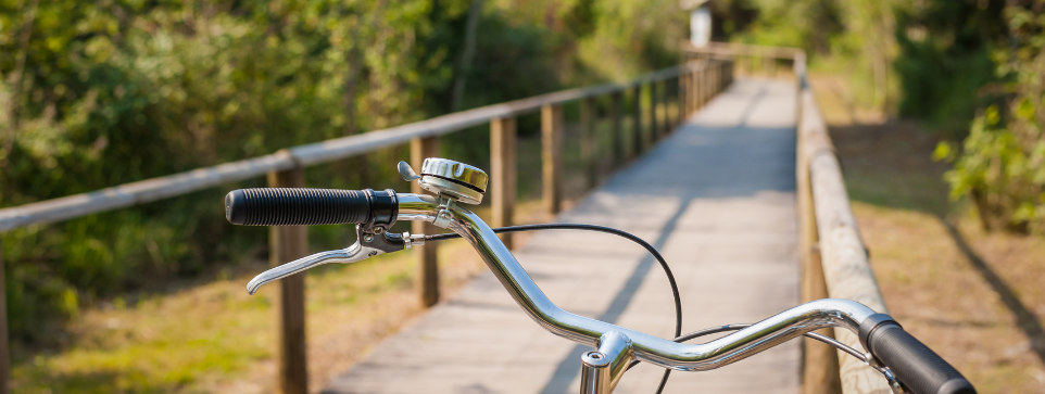 Close-up of a bicycle handlebar with a bell, positioned on a wooden boardwalk that stretches into a green, sunlit forested area.