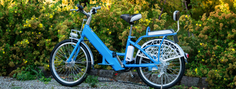 Blue electric bike with a rear cargo rack, parked on a gravel path next to vibrant green and yellow garden bushes.