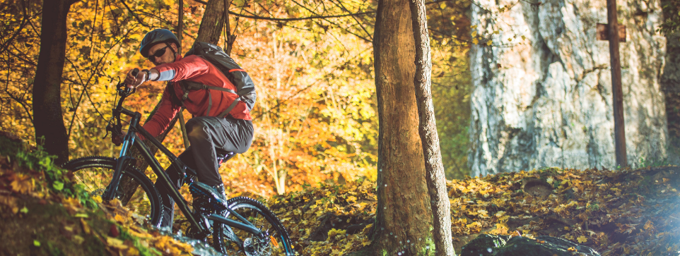 Mountain biker navigating a trail through an autumn forest, surrounded by colorful foliage. The sunlight filtering through the trees.