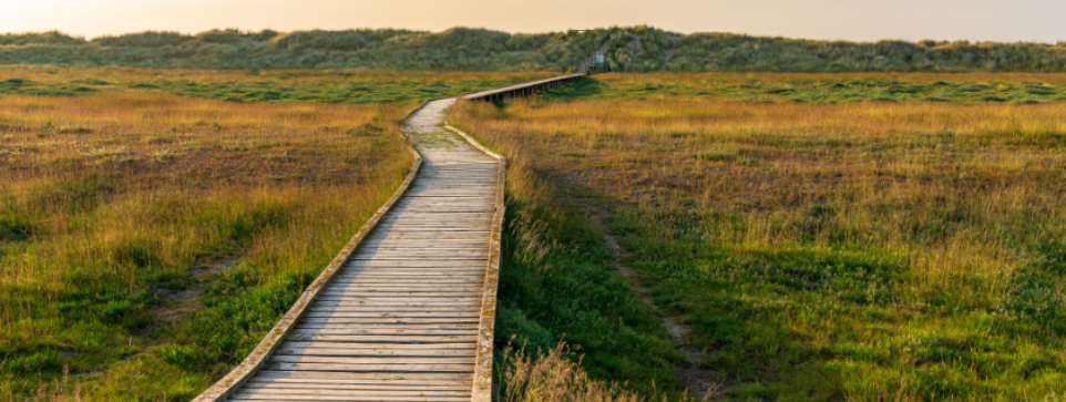 A wooden boardwalk with grass at either side. The boardwalk extends far into the distance. The image is baked in autumnal sunshine.