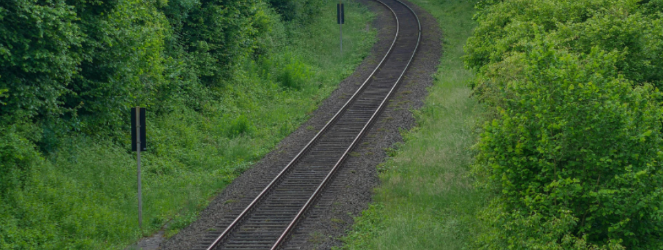 Curving railway track surrounded by lush greenery.