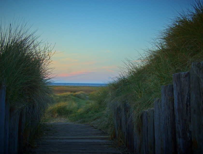 Wooden boardwalk leading through tall, grassy sand dunes at sunset. View of the horizon and the sky moving from day to night.