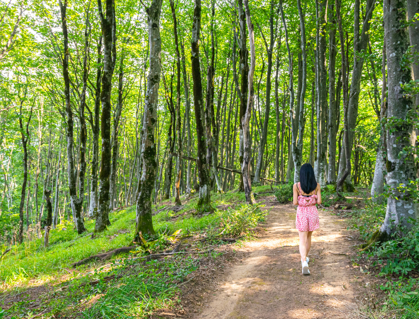 Walking, hiking and trailing are popular activities in Lincolnshire. Individual woman with black hair and a dress walking on a dirt path through a wooded area. She is surrounded by tall trees. 