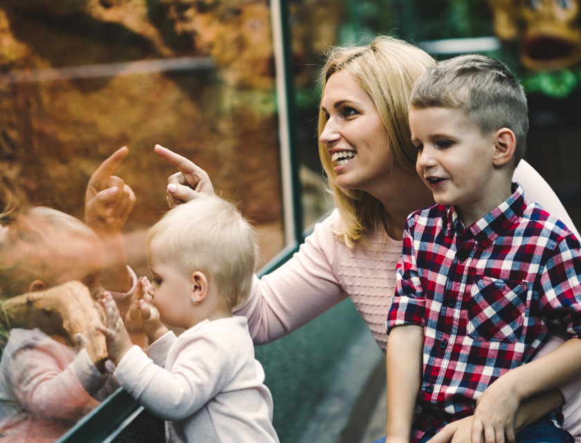 Mother, and two sons looking at an exhibition in a museum/zoo.