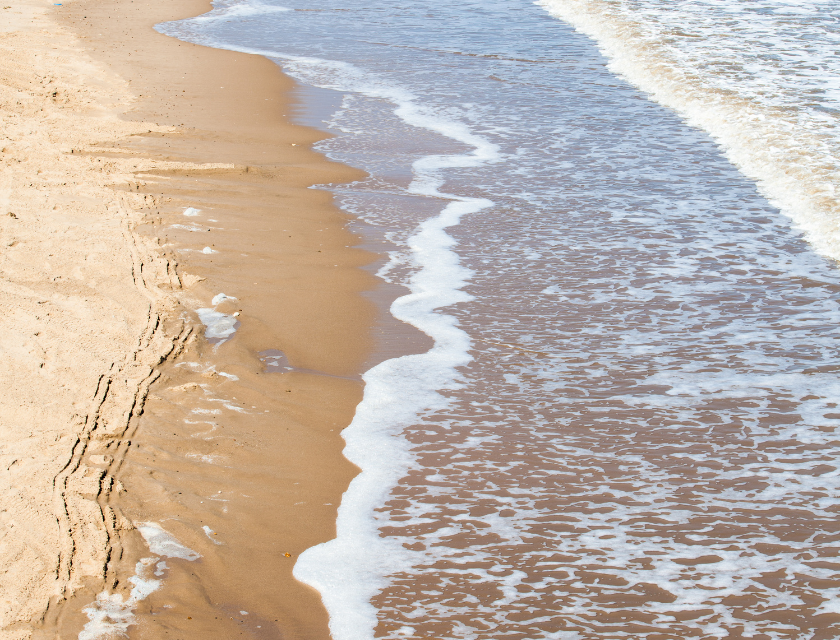 Waves gently wash up onto a sandy beach, leaving a foamy trail along the shoreline, creating a peaceful and serene coastal scene.