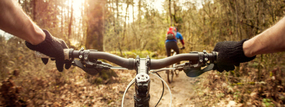 Cyclist riding through a forest trail, viewed from behind handlebars.