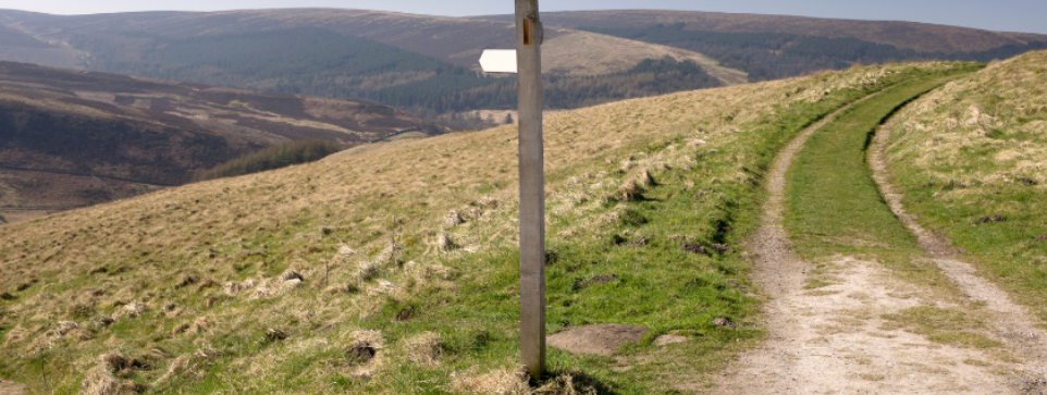 Empty countryside path with a wooden signpost, leading into green hills