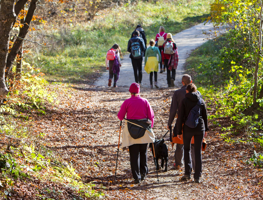 A group of hikers walking on a sunlit path surrounded by autumn foliage.