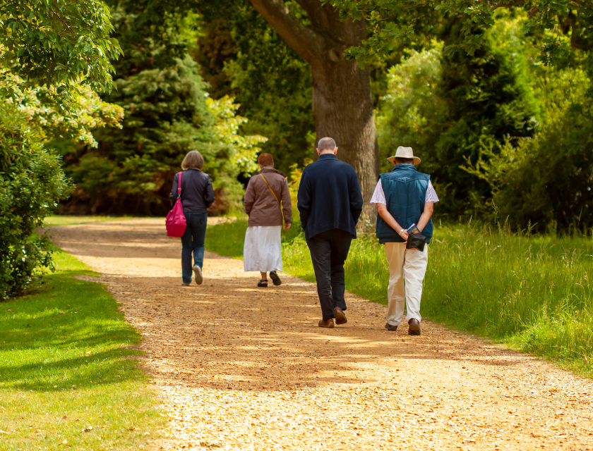 A group of people walking along a peaceful woodland path. Enjoy serene walks in Boscastle's natural forests and countryside. 