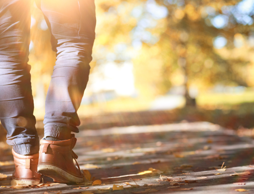 A person walking on a sunlit, leafy path. The perfect way to explore South Devon's scenic trails.