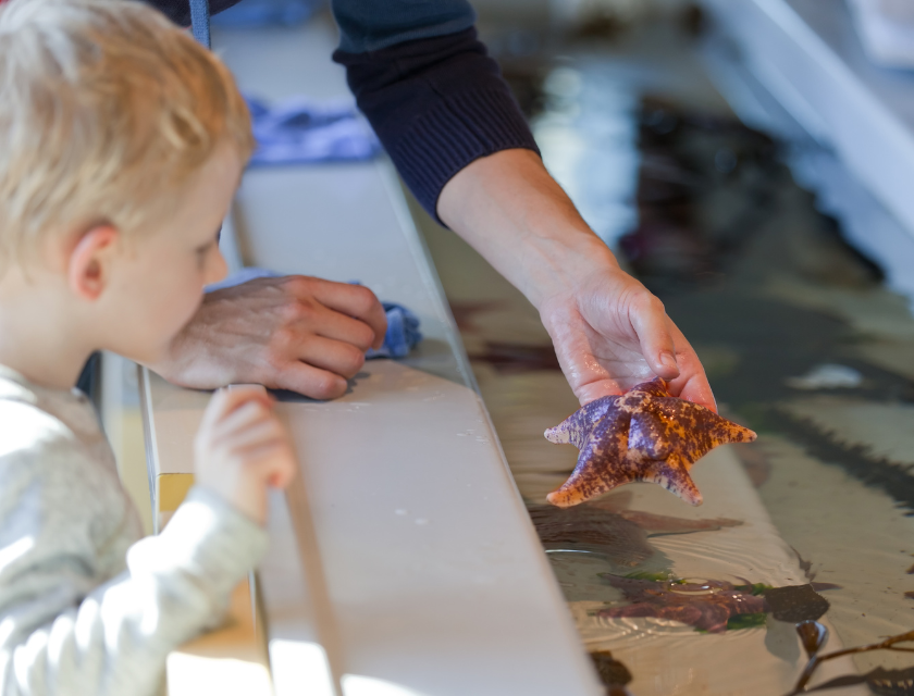 A child learning about marine life, similar to family-friendly attractions like the National Marine Aquarium in South Devon.