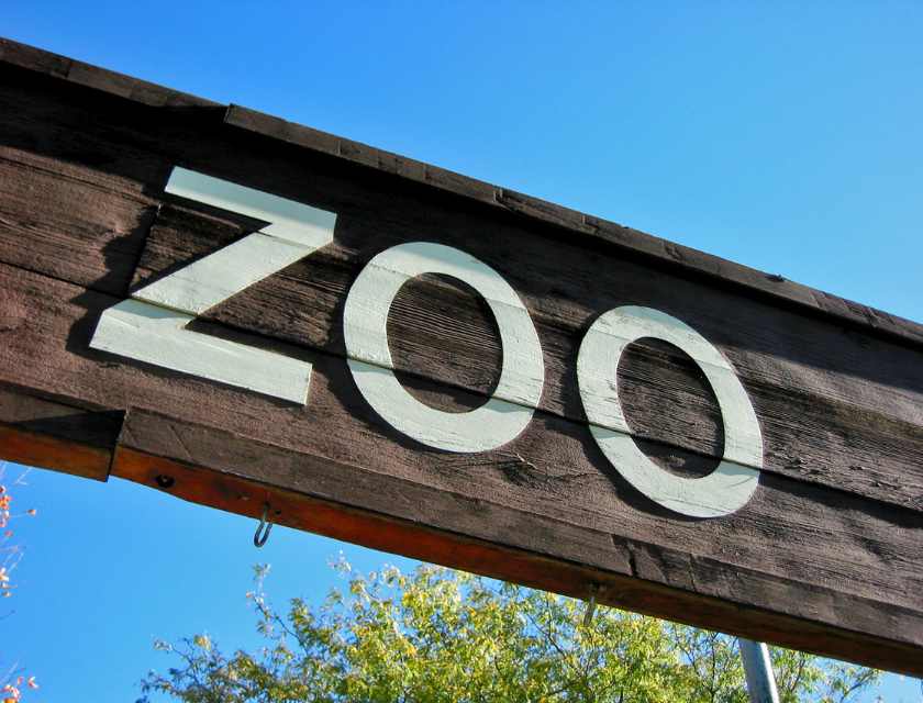 Zoo entrance sign with blue sky background – Exmoor Zoo is a family-friendly attraction among the top places to visit in North Devon.