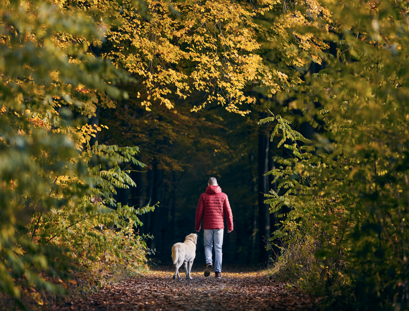 Stay at a dog-friendly caravan park in Devon and enjoy coastal views with your pet by your side. Ideal for a dog-friendly getaway.