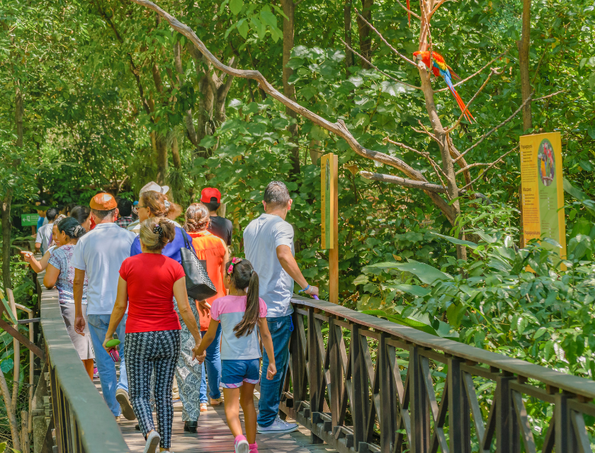 Families and children walking on a wooden boardwalk surrounded by wildlife.