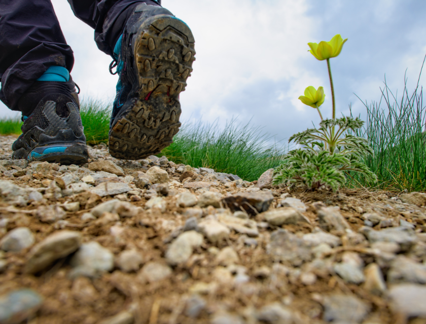  Close-up of a person’s hiking boots walking on a rocky path, with a small yellow flower growing nearby.