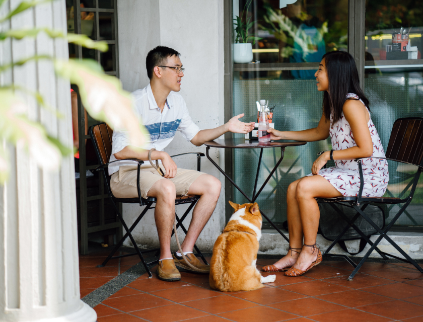 A man and woman are sitting outside a café, talking while a brown and white dog sits under the table.