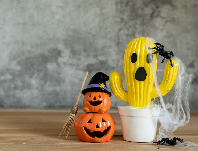 A small cactus with a ghost face and a witch hat, with two pumpkin decorations on the side.