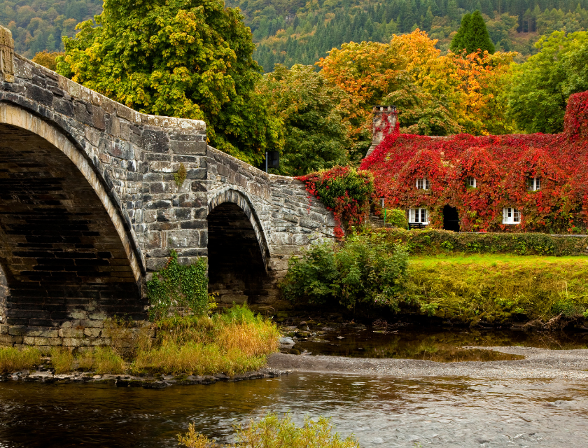 An old stone bridge over a river in Wales, with a house covered in red ivy and autumn trees all around.