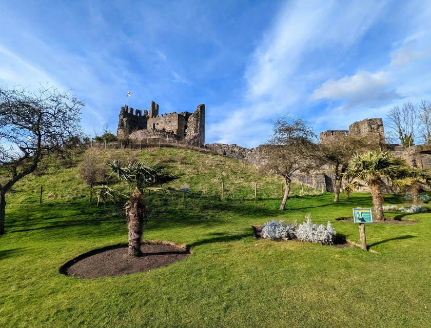 Ruins of a historic castle on a grassy hilltop, set against a bright blue sky. Discover local history while enjoying some of the best autumn walk in the UK while inthe MIdlands,