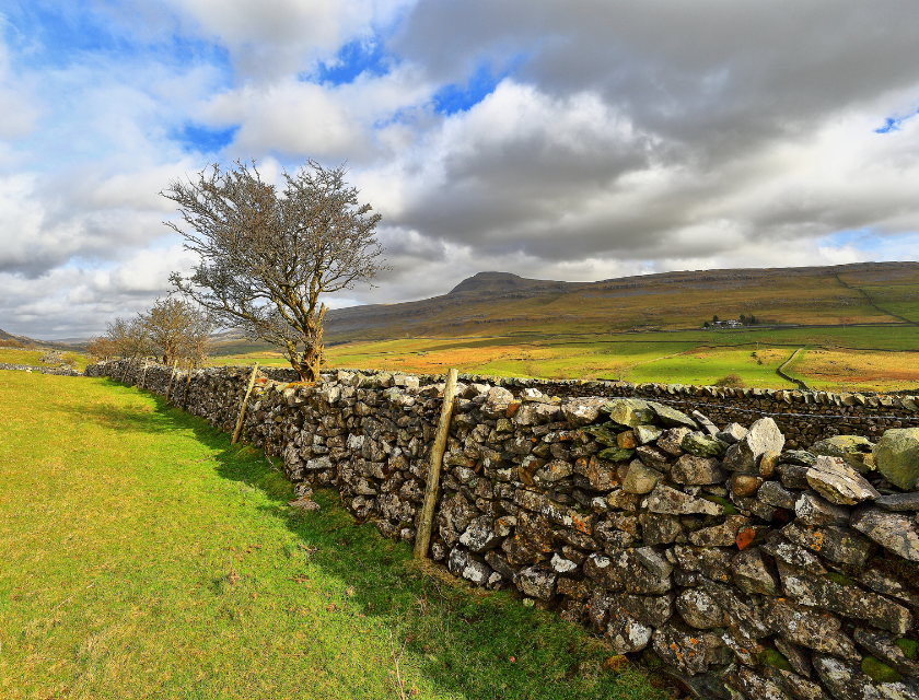 Stone wall running through the Yorkshire Dales with hills in the background on a sunny day with a few grey clouds. A popular region for walkers, Yorkshire is home to some of the best autumn walks in the UK.