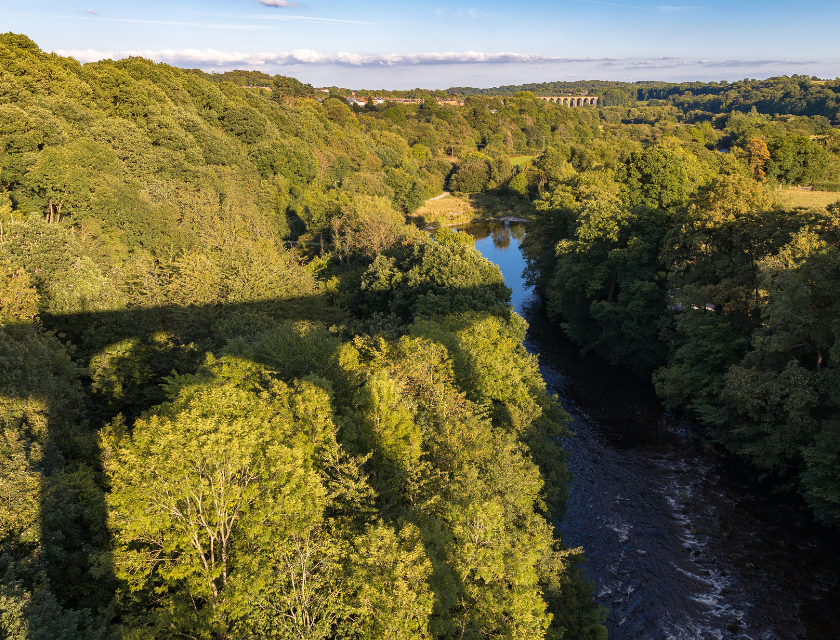 River flowing through a forest under a sunny sky. Trees and the shadow of a nearby bridge stretch over the landscape.