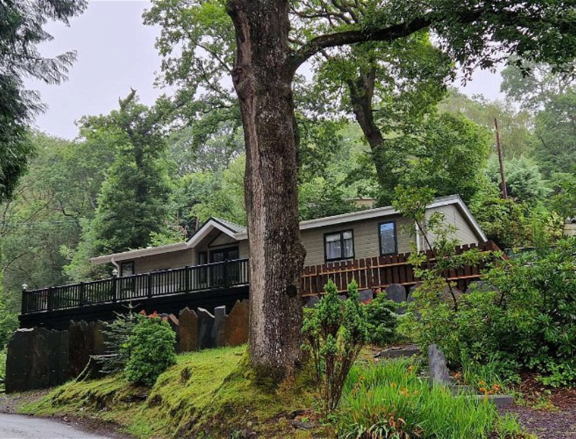 Holiday park cabin surrounded by tall trees and greenery, ideal for families exploring Christmas markets in North Wales. Scenic accommodation for a peaceful, festive retreat.