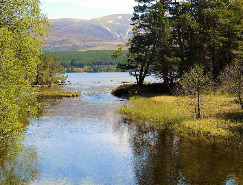 Trees line the edge of Loch Morlich in Scotland, offering one of the best winter walks in the UK.