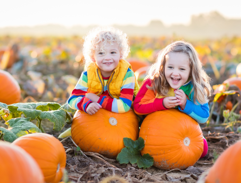 Two kids dressed in bright autumn clothes, sitting on big pumpkins in a pumpkin patch, enjoying a fun day out as part of their autumn caravan break.