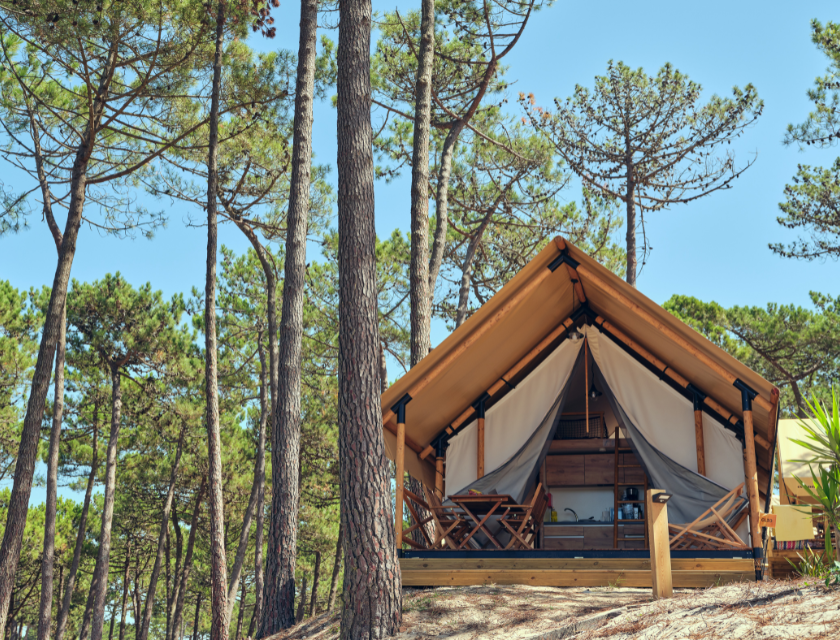 Glamping tent in a pine forest on a bright, sunny day with tall trees. Perfect for nature lovers.